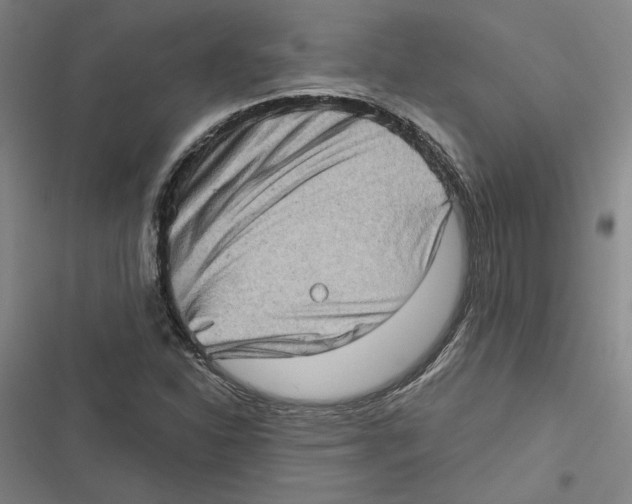 X0000116771310201001141442