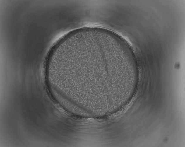 X0000116771311201001141442
