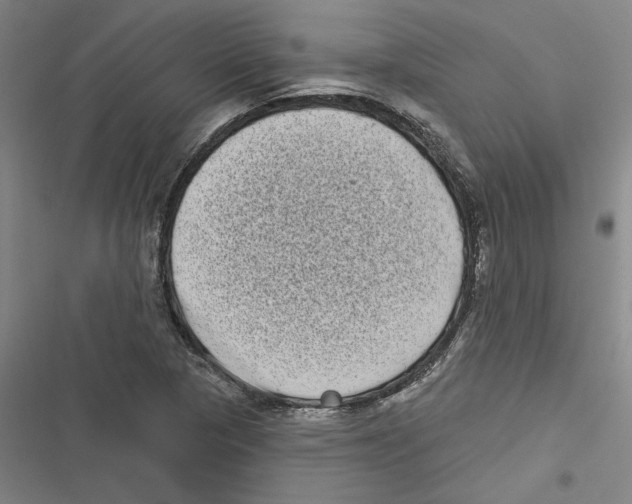 X0000116771313201001141442
