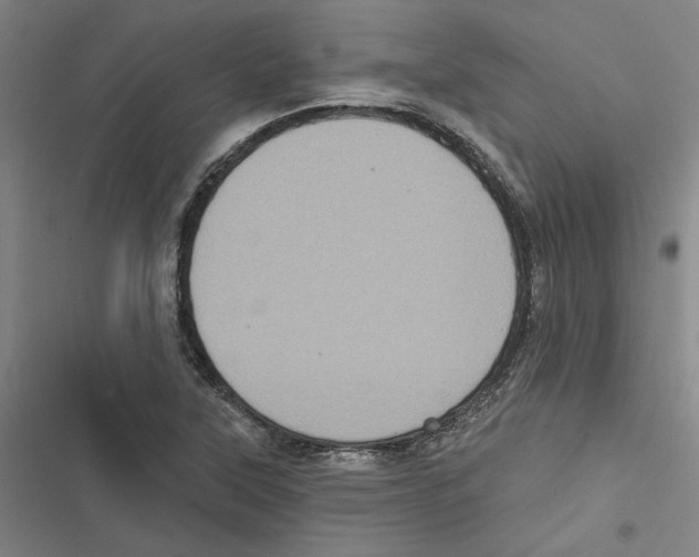 X0000116771315201001141442