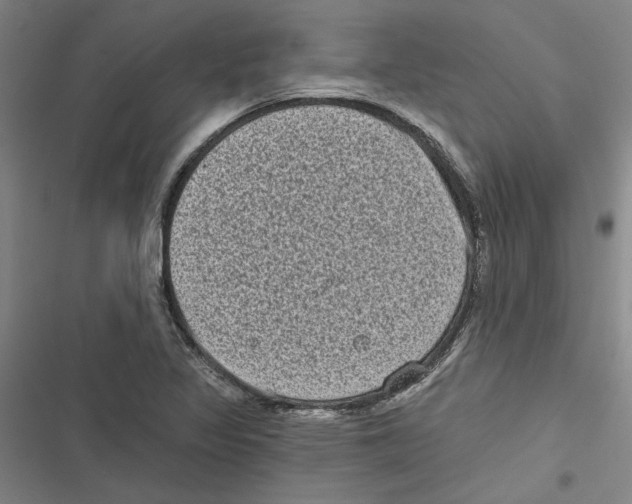 X0000116771317201001141442