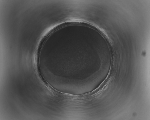 X0000116771319201001141442