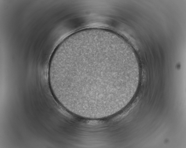 X0000116771322201001141442