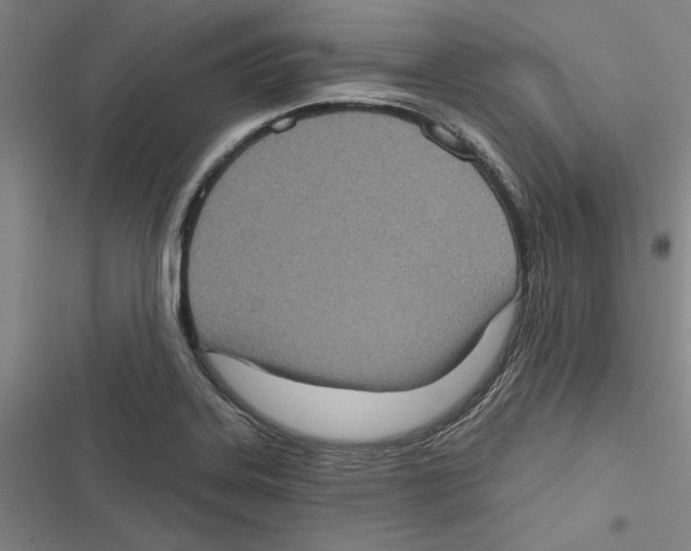 X0000116771323201001141442
