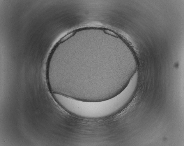 X0000116771326201001141442