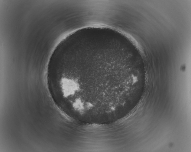 X0000116771327201001141442