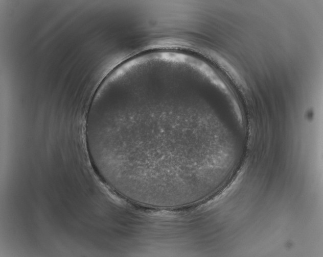 X0000116771329201001141442