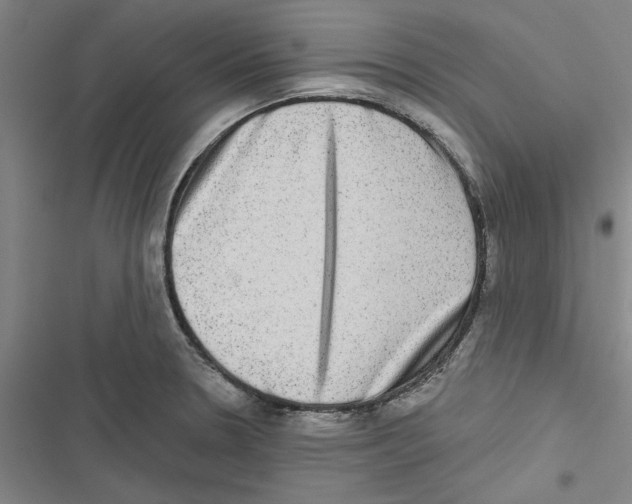 X0000116771330201001141442