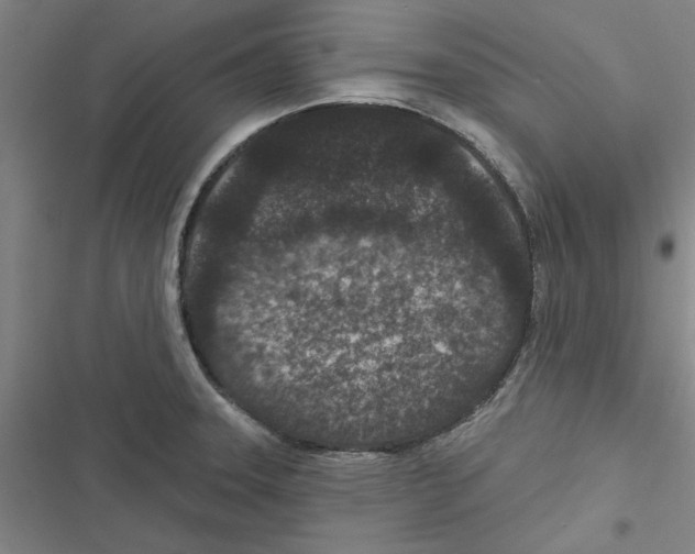 X0000116771331201001141442