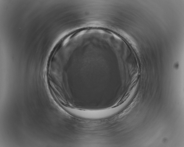 X0000116771334201001141442