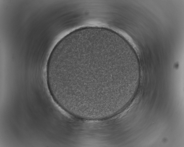 X0000116771335201001141442