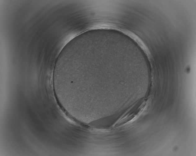 X0000116771337201001141443
