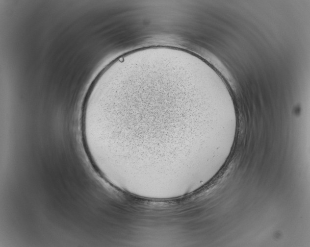 X0000116771339201001141443