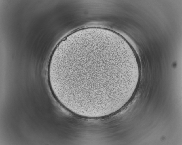 X0000116771341201001141443