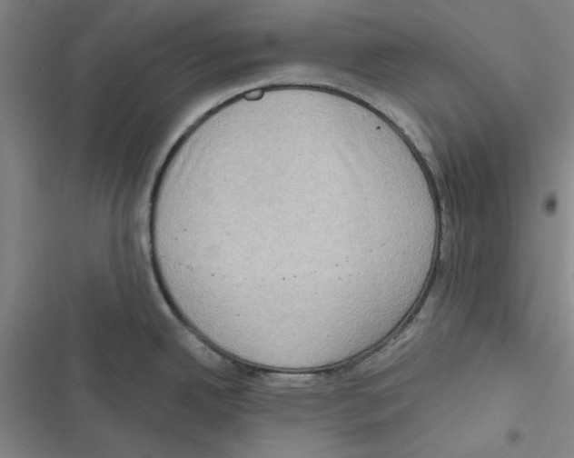 X0000116771342201001141443
