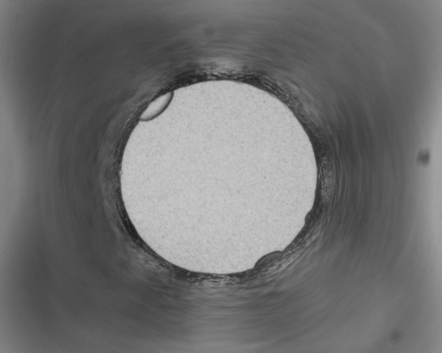 X0000116771345201001141442