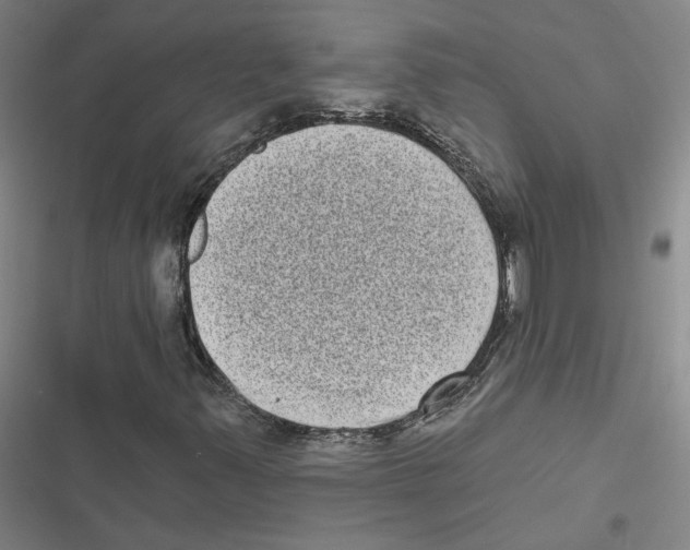 X0000116771347201001141442