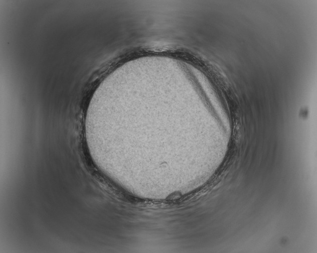 X0000116771349201001141442