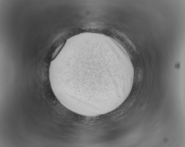 X0000116771350201001141442