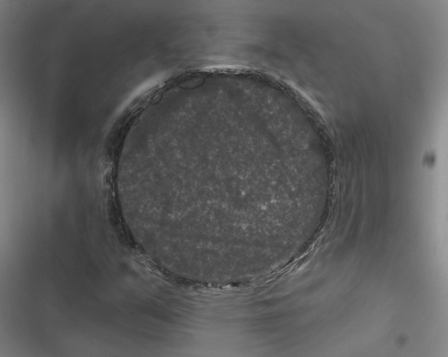 X0000116771351201001141442