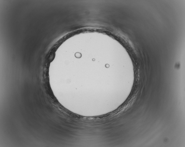 X0000116771352201001141442
