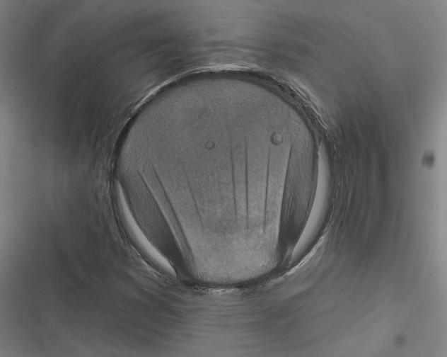 X0000116771353201001141442