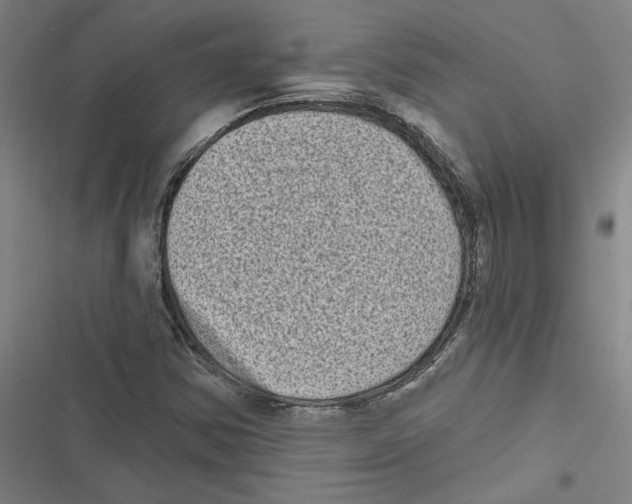 X0000116771354201001141442
