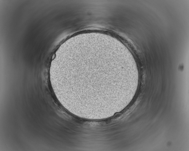 X0000116771355201001141442