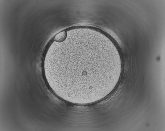 X0000116771356201001141442