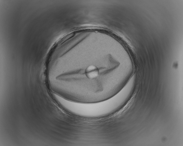 X0000116771357201001141442