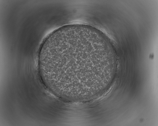 X0000116771358201001141442