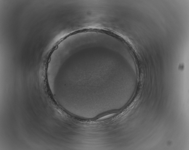 X0000116771359201001141442