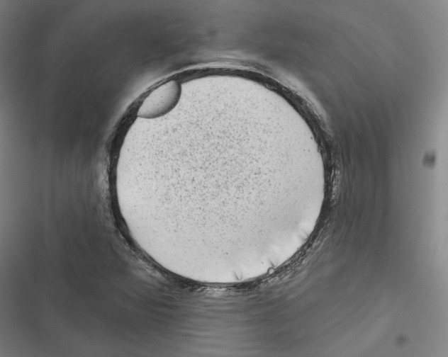 X0000116771360201001141442