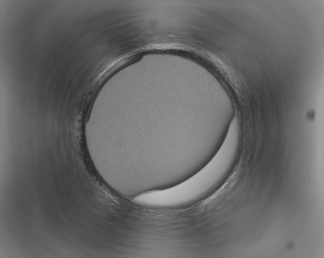 X0000116771361201001141442