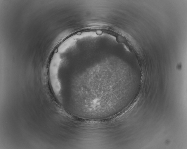 X0000116771362201001141442