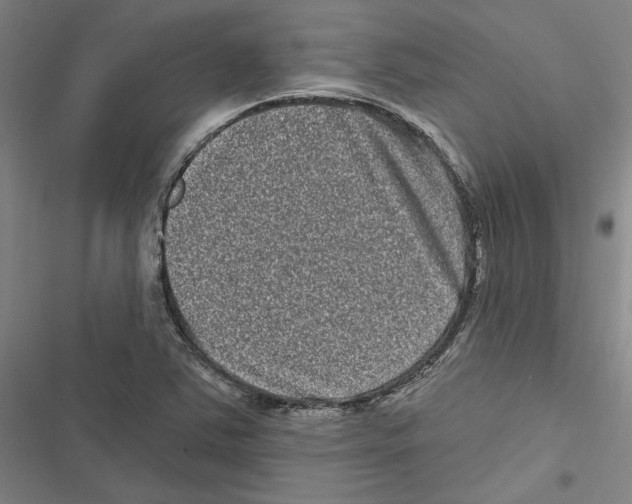 X0000116771363201001141442
