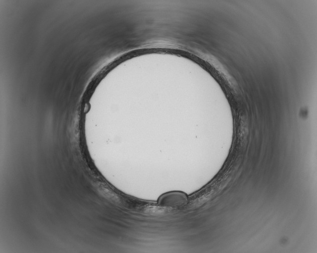 X0000116771364201001141442
