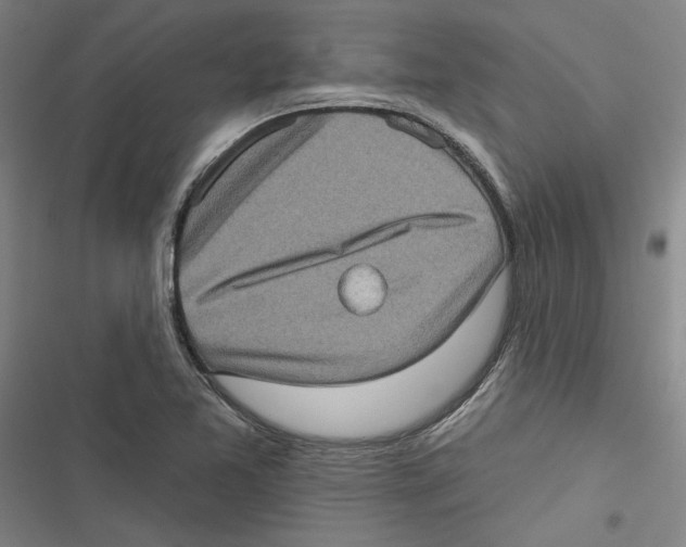 X0000116771365201001141442