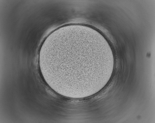X0000116771366201001141442