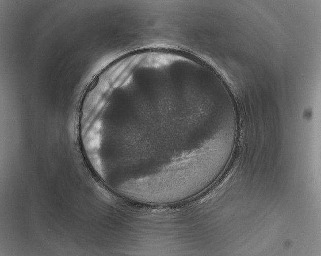 X0000116771367201001141442