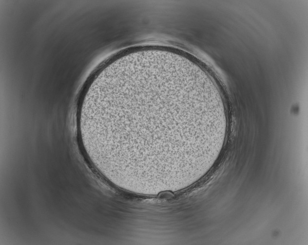 X0000116771368201001141442