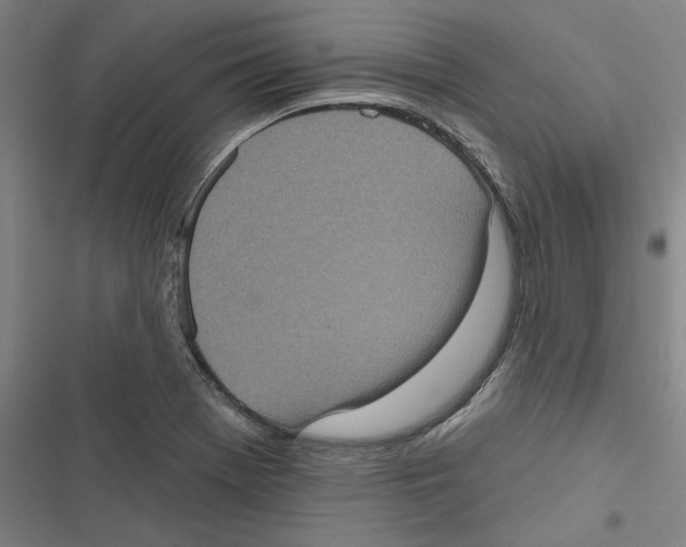 X0000116771369201001141442