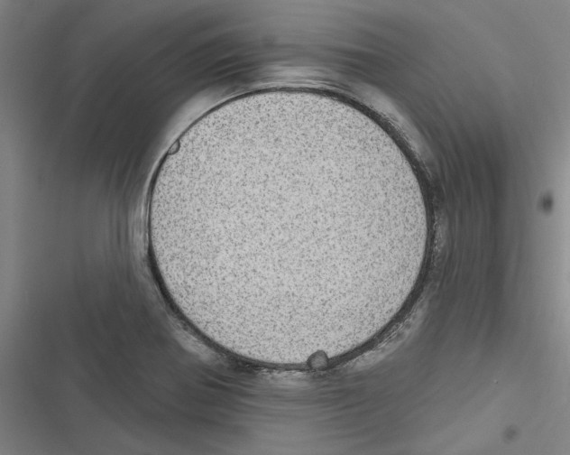 X0000116771370201001141442