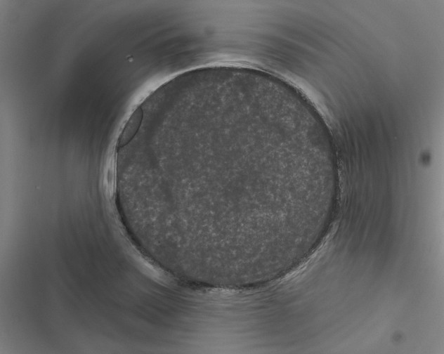 X0000116771371201001141442