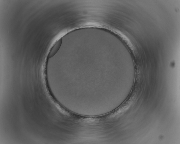 X0000116771373201001141442