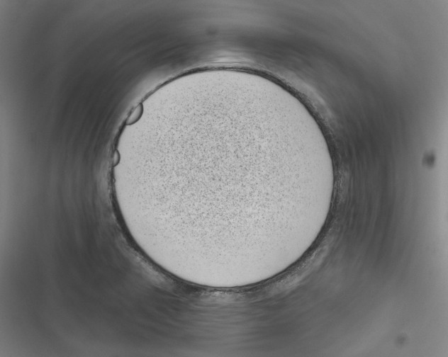 X0000116771374201001141442