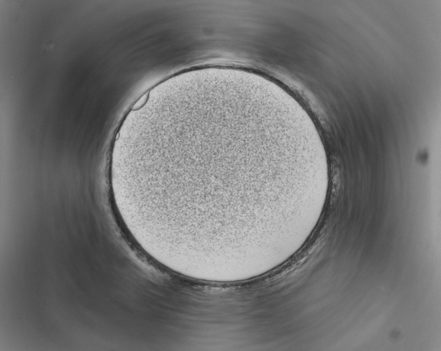 X0000116771375201001141442