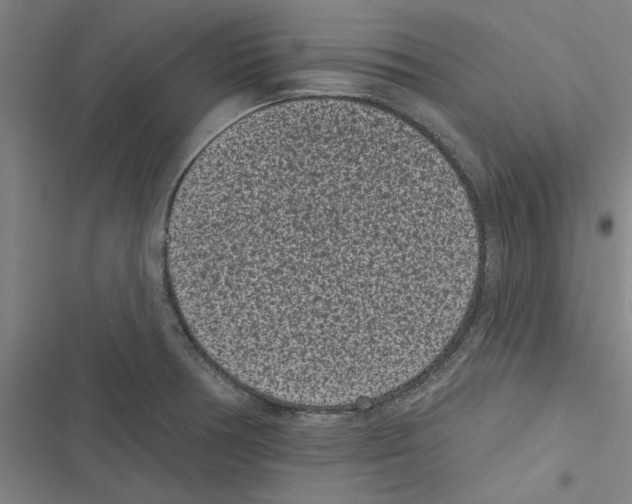X0000116771378201001141442