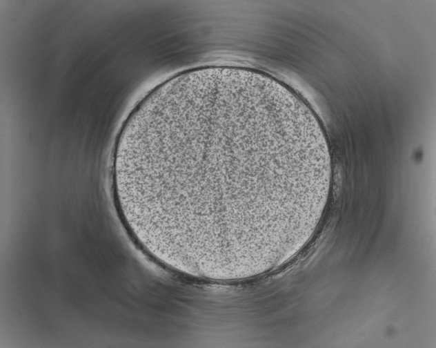 X0000116771379201001141441