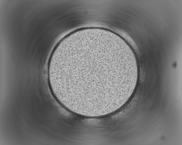 X0000116771380201001141441